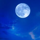 Blue Moon Longshots